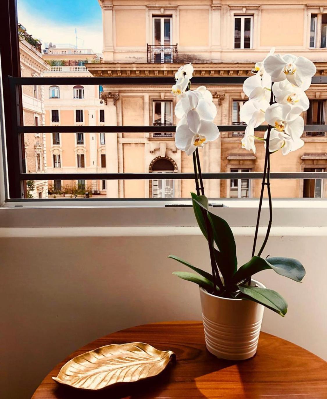 900 Piazza Del Popolo Bed & Breakfast Roma Eksteriør bilde